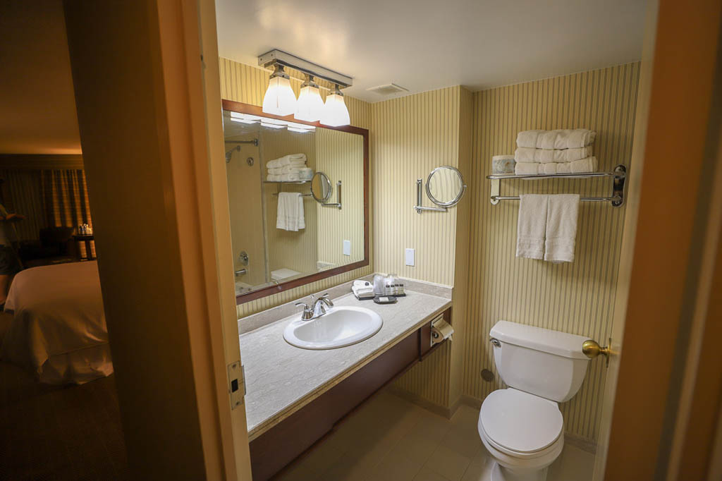 Bathroom and countertops at Toronto airport hotel